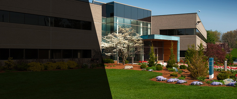 Leander Landscapers