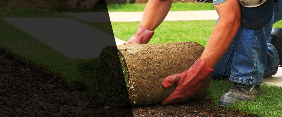 Leander Landscapers